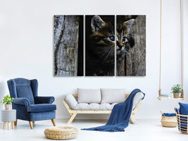 3-piece-canvas-print-cats-child