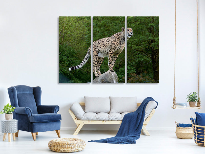 3-piece-canvas-print-cheetah-on-the-go