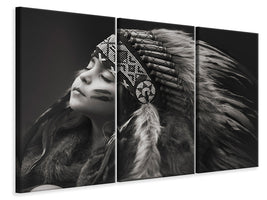 3-piece-canvas-print-chief-of-her-dreams