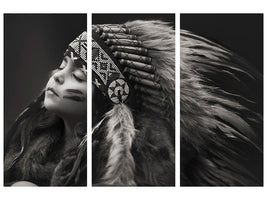 3-piece-canvas-print-chief-of-her-dreams