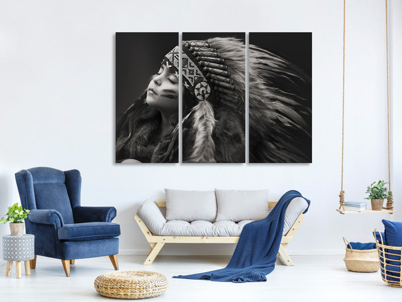 3-piece-canvas-print-chief-of-her-dreams