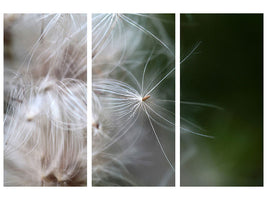 3-piece-canvas-print-close-up-flowers-fibers