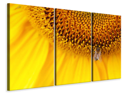 3-piece-canvas-print-close-up-yellow-bud