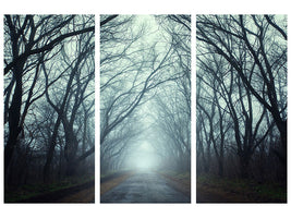 3-piece-canvas-print-cloud-forest