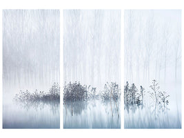 3-piece-canvas-print-cold-and-foggy-morning-in-the-swamp