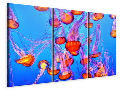 3-piece-canvas-print-colorful-jellyfish