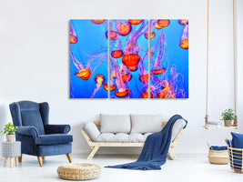 3-piece-canvas-print-colorful-jellyfish