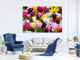 3-piece-canvas-print-colorful-tulip-field