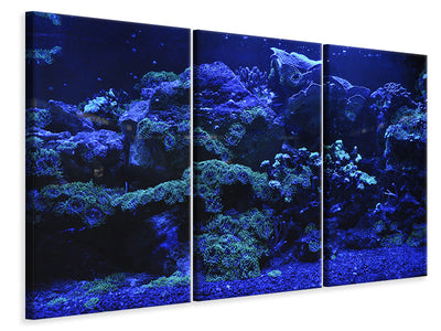 3-piece-canvas-print-coral-reef-in-blue