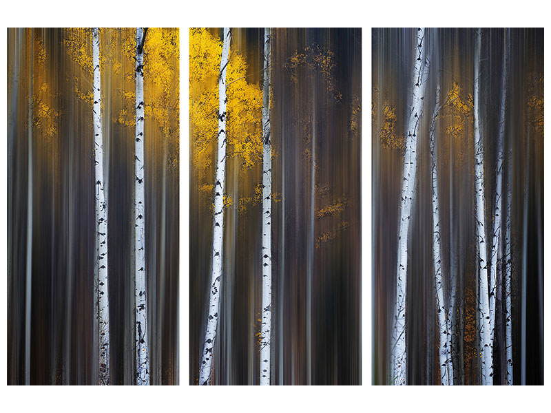 3-piece-canvas-print-curtain-of-fall