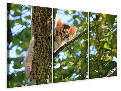 3-piece-canvas-print-cute-cat-child