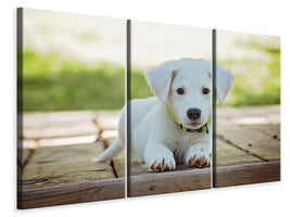 3-piece-canvas-print-cute-dog-baby