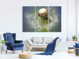 3-piece-canvas-print-dandelion-close-up