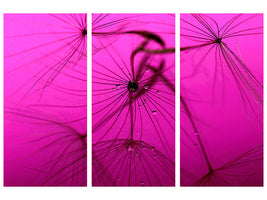 3-piece-canvas-print-dandelion-in-pink