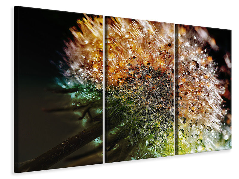 3-piece-canvas-print-dandelion-in-the-morning-dew