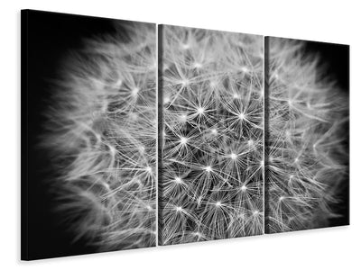 3-piece-canvas-print-dandelion-in-xxl