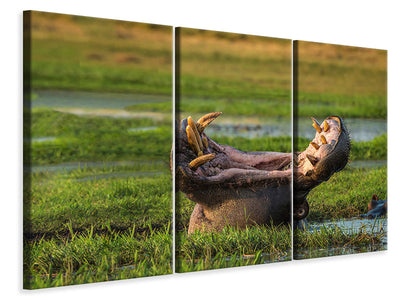 3-piece-canvas-print-dare-to-yawn