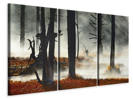 3-piece-canvas-print-deadwood