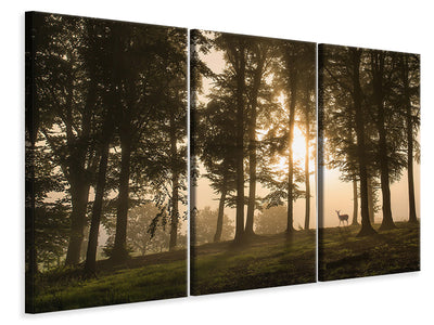 3-piece-canvas-print-deer-in-the-morning-mist