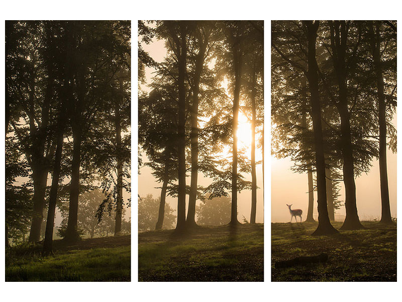 3-piece-canvas-print-deer-in-the-morning-mist