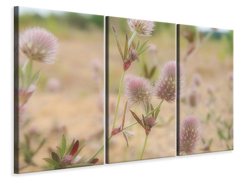 3-piece-canvas-print-delicate-flowers