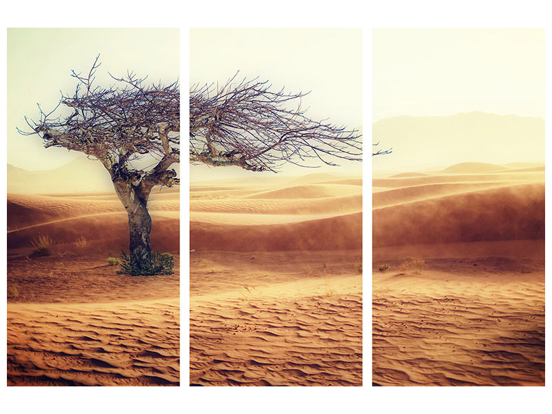 3-piece-canvas-print-desert-storm