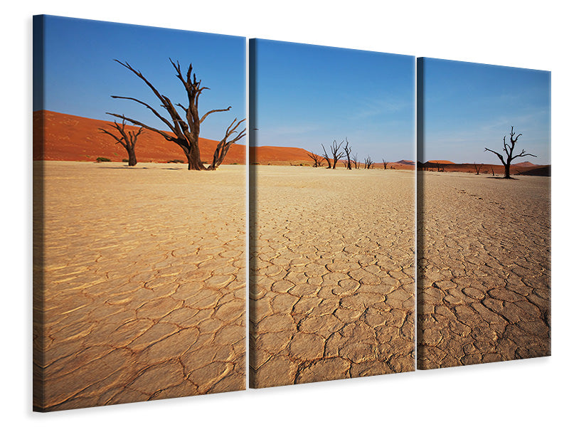 3-piece-canvas-print-desert