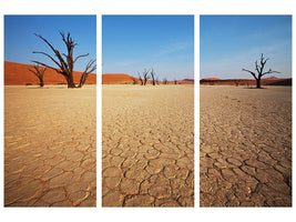 3-piece-canvas-print-desert