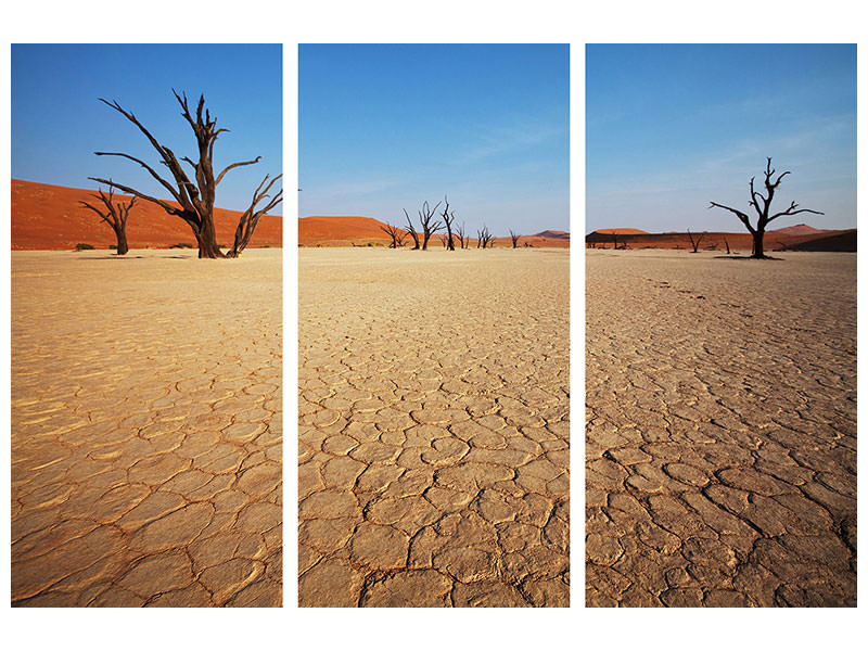 3-piece-canvas-print-desert