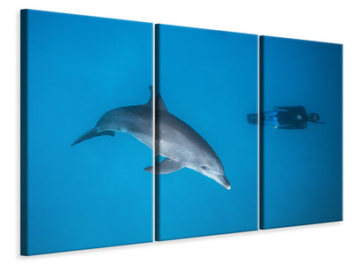 3-piece-canvas-print-dolphin-and-freediver