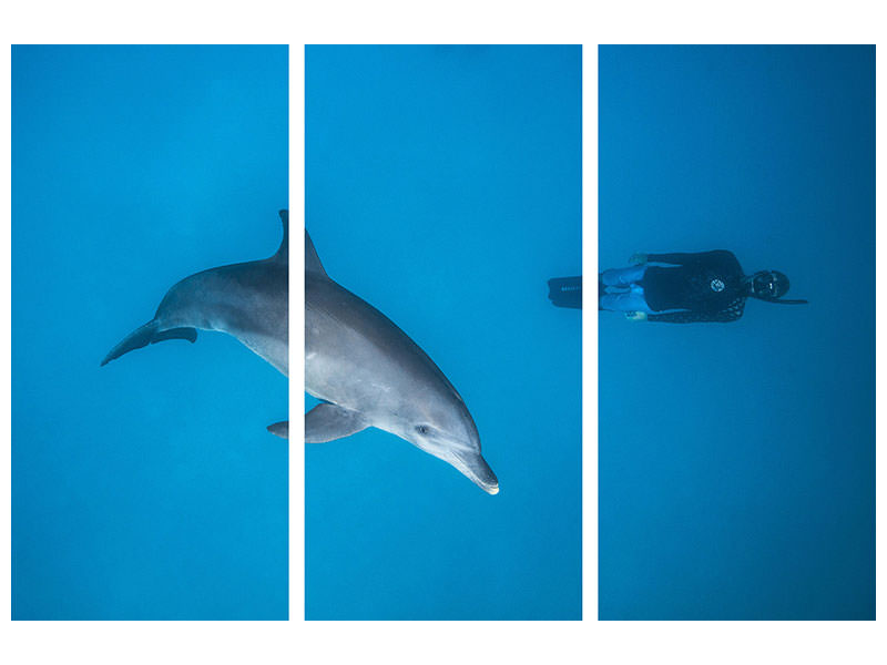 3-piece-canvas-print-dolphin-and-freediver
