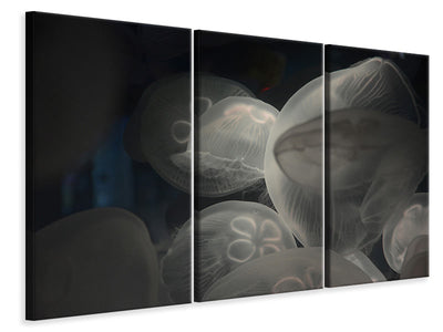 3-piece-canvas-print-eerie-jellyfish