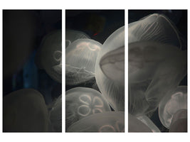 3-piece-canvas-print-eerie-jellyfish