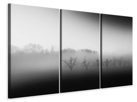 3-piece-canvas-print-eight-trees-in-the-mist