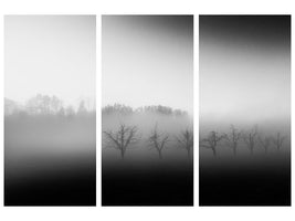 3-piece-canvas-print-eight-trees-in-the-mist