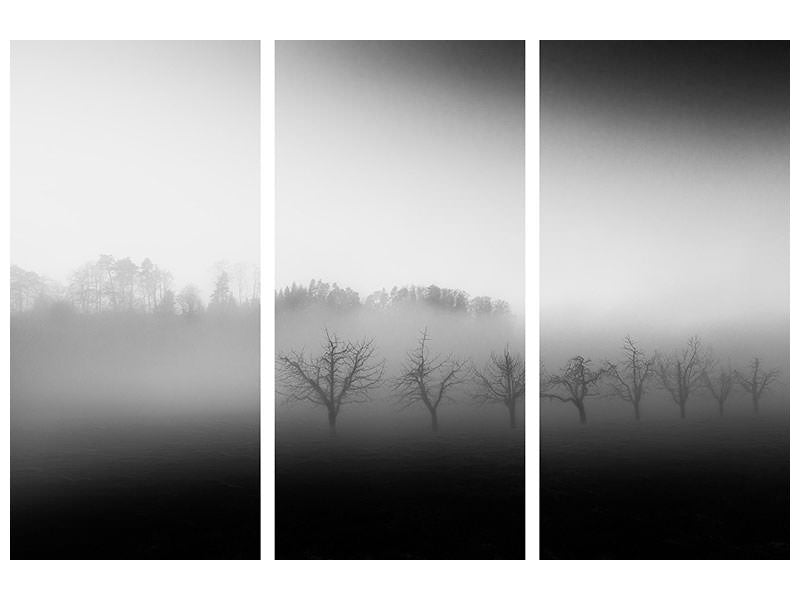 3-piece-canvas-print-eight-trees-in-the-mist