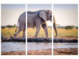 3-piece-canvas-print-elephant-in-the-nature