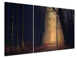 3-piece-canvas-print-evening-mood-in-the-forest