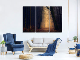 3-piece-canvas-print-evening-mood-in-the-forest