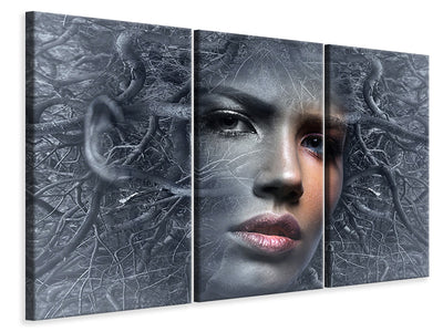 3-piece-canvas-print-fantasy-face