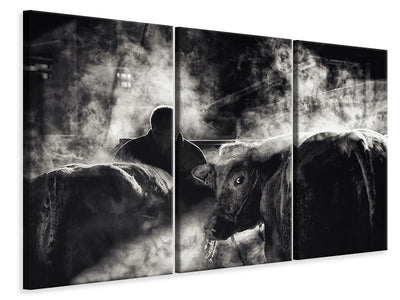 3-piece-canvas-print-farm-life