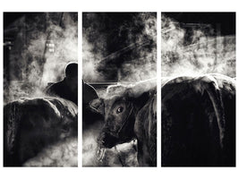 3-piece-canvas-print-farm-life