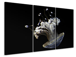 3-piece-canvas-print-fascinating-jellyfish