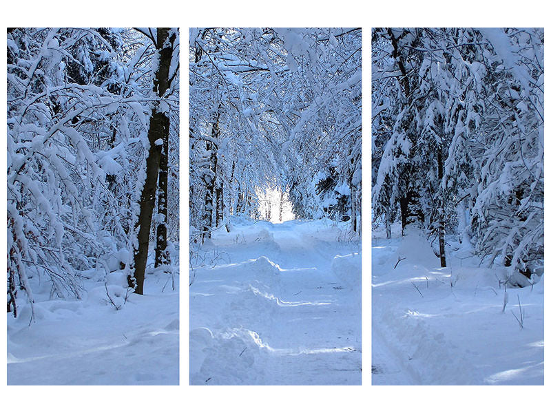 3-piece-canvas-print-finally-winter