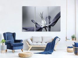 3-piece-canvas-print-fiore-estate