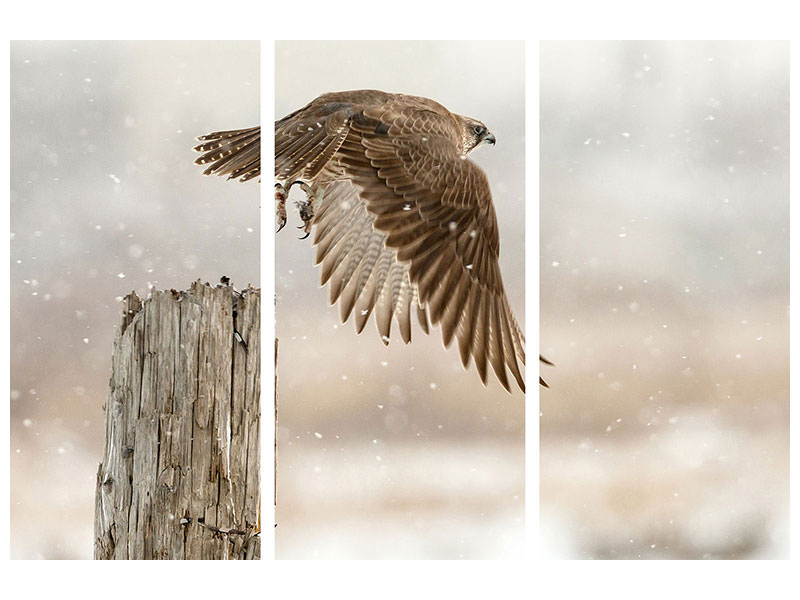 3-piece-canvas-print-flight-against-the-snowstorm