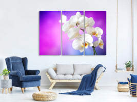 3-piece-canvas-print-flower-power-orchid