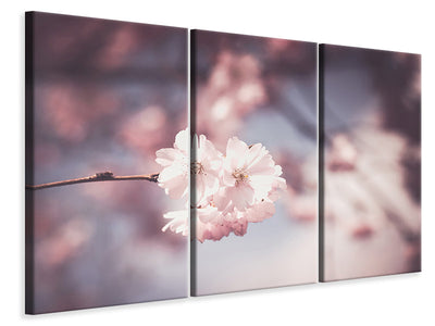 3-piece-canvas-print-flower-xl