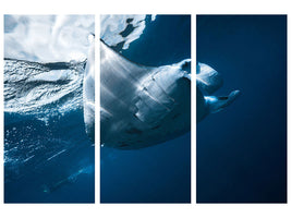 3-piece-canvas-print-flying-manta-ray