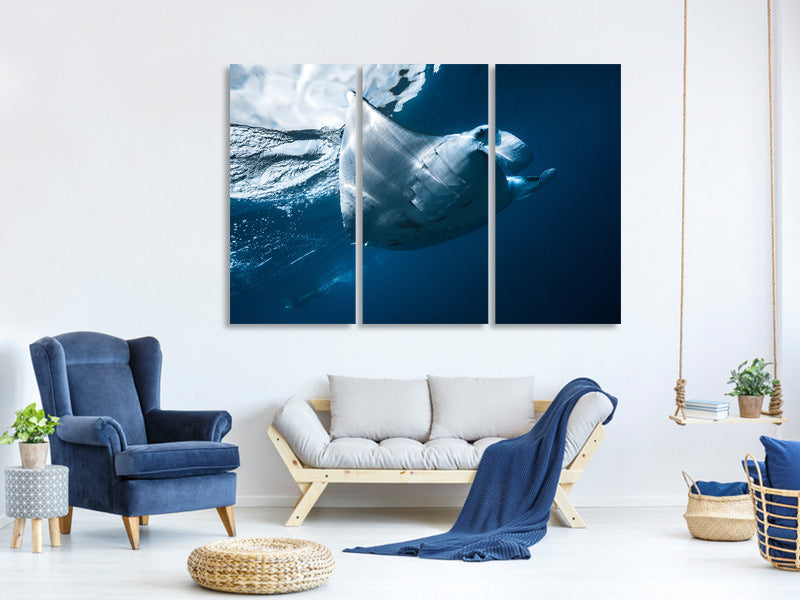 3-piece-canvas-print-flying-manta-ray